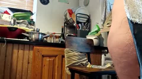 humiliationbucket online show from 03-25-26, 11:49