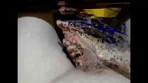 Snapshot of hung_mac0 chatting on 02-17-26, 02:13 hung_mac0 online show from 02-17-26, 02:13