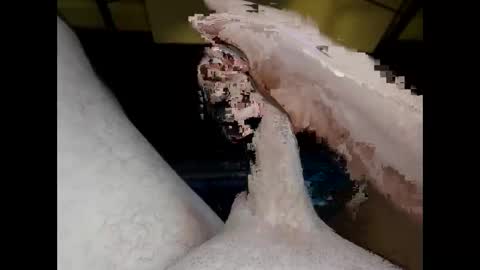 hung_mac0 online show from 05-20-26, 02:01