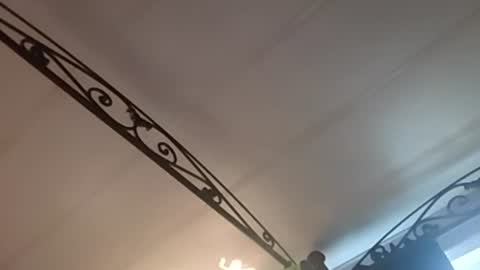 hungryforpussy1234567890 online show from 12-16-24, 04:16