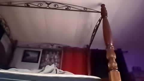 hungryforpussy1234567890 online show from 12-21-24, 09:12