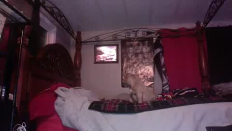 hungryforpussy1234567890 online show from 01-10-25, 07:46