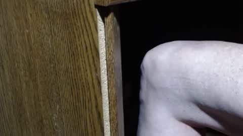 hungsofine online show from 01-12-25, 08:57