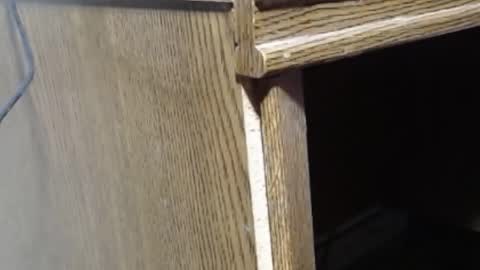 hungsofine online show from 02-19-25, 06:54