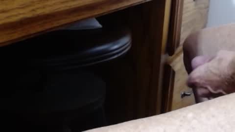 hungsofine online show from 01-11-26, 07:30