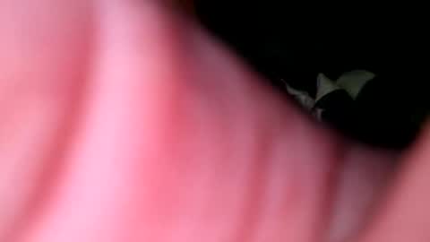 hunk1987_ online show from 04-27-26, 04:32