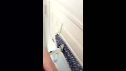 Snapshot of huskey300 chatting on 01-09-26, 04:32 huskey300 online show from 01-09-26, 04:32