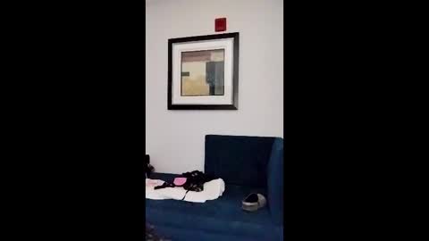 Snapshot of hydrakinglaser chatting on 02-05-26, 02:05 hydrakinglaser online show from 02-05-26, 02:05