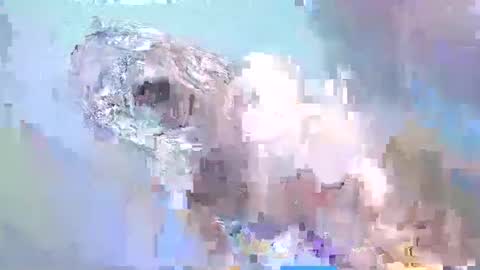 cant get you out of my head online show from 02-15-25, 02:22