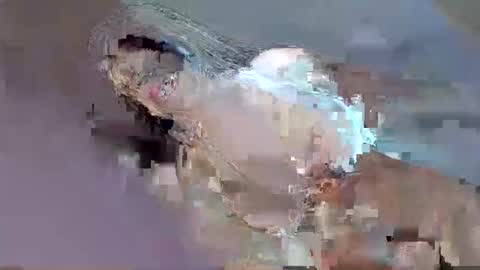 cant get you out of my head online show from 09-12-25, 12:33