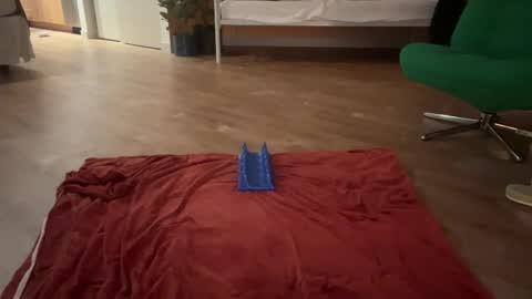 Olive online show from 10-19-25, 05:41