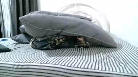 iam_mistress_dominatrix online show from 04-18-26, 03:54