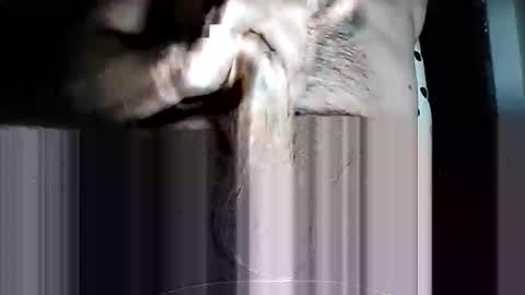 Pat online show from 03-11-26, 10:10