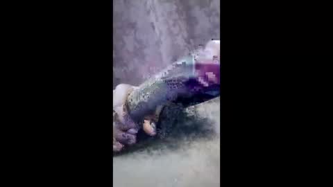 ibhcgvuspcrb online show from 03-04-26, 08:04