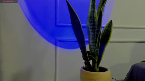 Snapshot of ice_princess__ chatting on 10-02-25, 04:41 Crystall online show from 10-02-25, 04:41