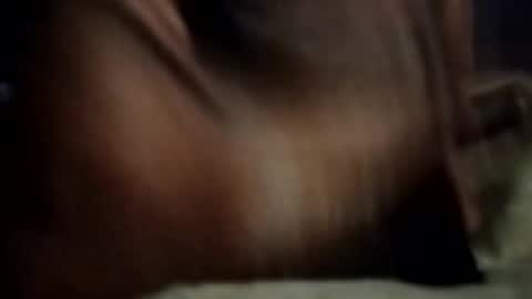 Snapshot of ihktqjtwzczh chatting on 02-27-26, 12:05 ihktqjtwzczh online show from 02-27-26, 12:05