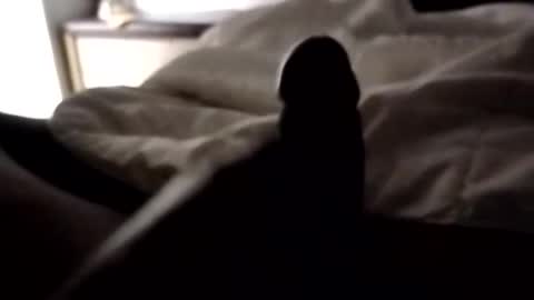 ihktqjtwzczh online show from 04-07-26, 09:43