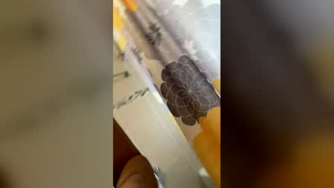 ikaikagora00 online show from 03-05-26, 04:36