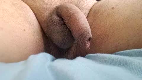 ikbenzo online show from 12-08-24, 10:41