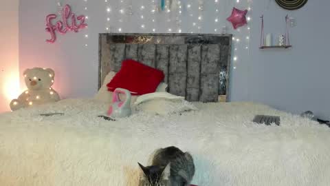 Letty online show from 02-24-25, 05:43