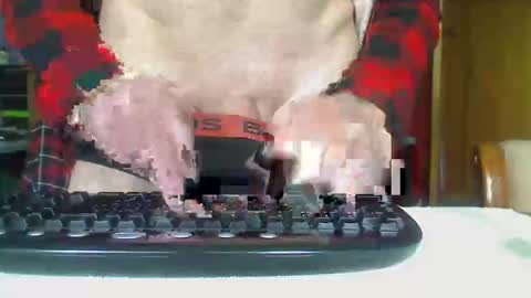 Aussie Guy online show from 10-21-25, 12:33