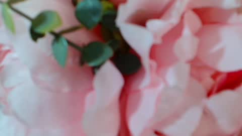 Snapshot of imcarrieberry chatting on 01-25-25, 05:07 Carrie online show from 01-25-25, 05:07