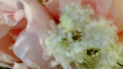 Snapshot of imcarrieberry chatting on 03-03-25, 04:35 Carrie online show from 03-03-25, 04:35