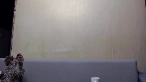 irina online show from 01-06-26, 03:27