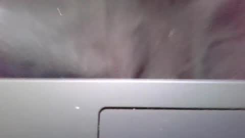 imstillstrokin online show from 10-22-25, 07:35