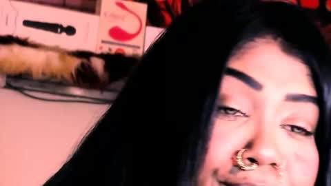 Bella Ambrosia online show from 11-20-25, 02:12