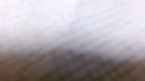 tracy online show from 12-28-24, 08:58