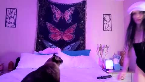 Indigo Bay online show from 02-03-26, 05:05