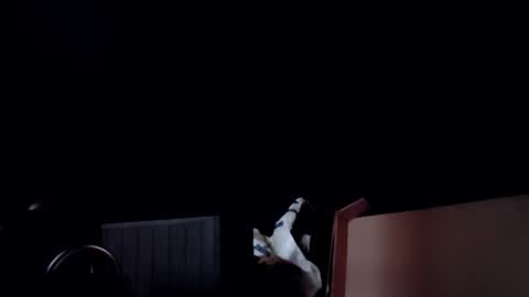 Snapshot of info_chat chatting on 02-24-26, 03:26 sir. Grummps online show from 02-24-26, 03:26