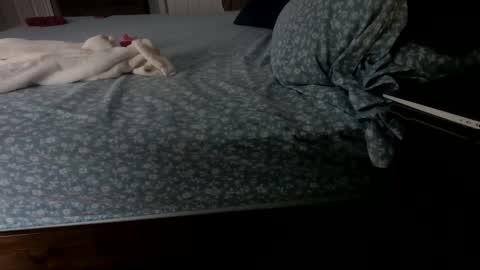 InsatiableCpl333 online show from 01-23-25, 02:07