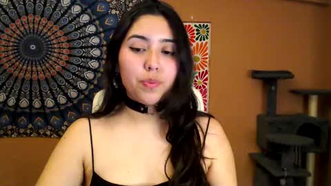 Africa online show from 02-27-25, 06:09