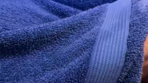 Snapshot of intressiert chatting on 12-30-24, 01:25 intressiert online show from 12-30-24, 01:25