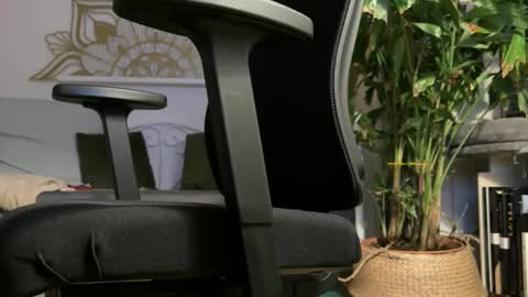 intressiert online show from 02-19-26, 05:31