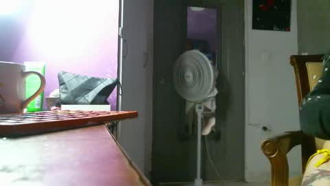 Camilla online show from 12-22-24, 01:55