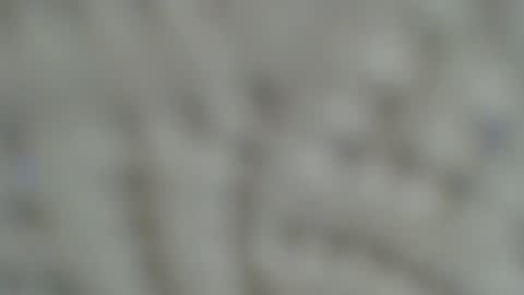 Snapshot of irishdude2483 chatting on 01-15-25, 06:33 Irishdude2483 online show from 01-15-25, 06:33