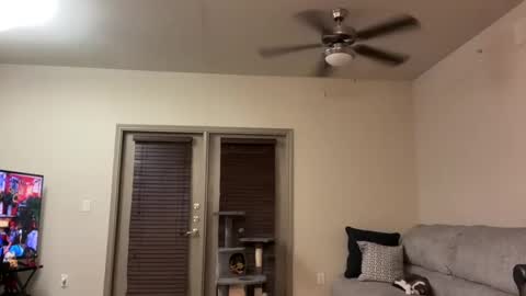 irissweets online show from 03-12-25, 04:41