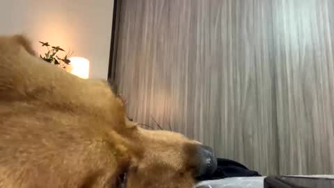 Snapshot of isabelprietoo chatting on 10-07-25, 01:47 Isa online show from 10-07-25, 01:47