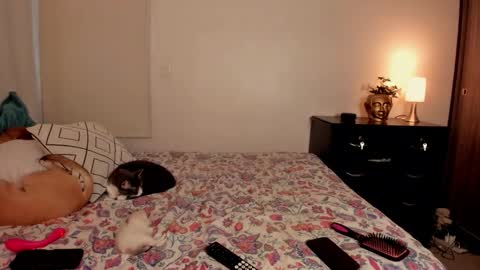 Snapshot of isabelprietoo chatting on 10-31-25, 10:00 Isa online show from 10-31-25, 10:00