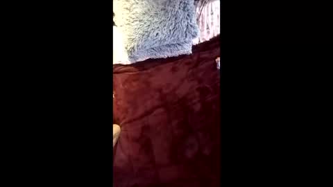 Ral online show from 04-16-26, 09:32