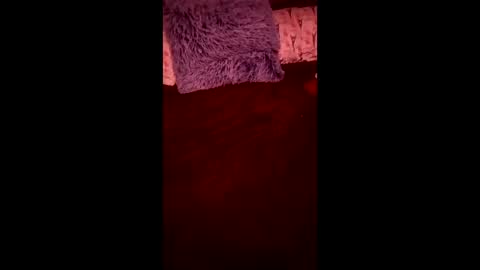 Ral online show from 04-24-26, 07:44