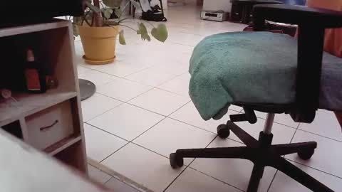 Snapshot of islandforfun chatting on 07-22-26, 05:05 islandforfun online show from 07-22-26, 05:05