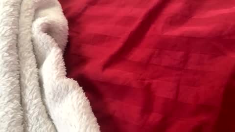 Snapshot of itsjayyourbae chatting on 11-22-25, 02:05 itsjayyourbae online show from 11-22-25, 02:05