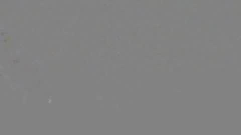 ItsNyladior online show from 06-06-26, 03:39