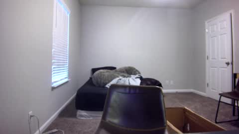 TARZAN online show from 12-13-24, 06:49