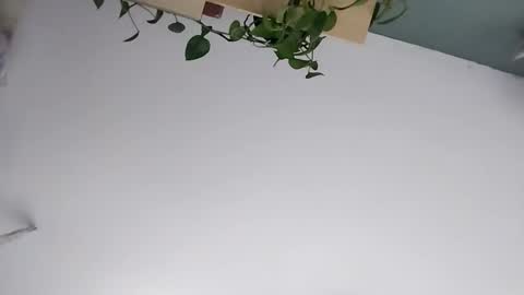 Vanchi online show from 03-07-26, 07:16