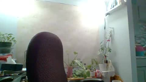 ivyjane3522 online show from 05-07-26, 02:00
